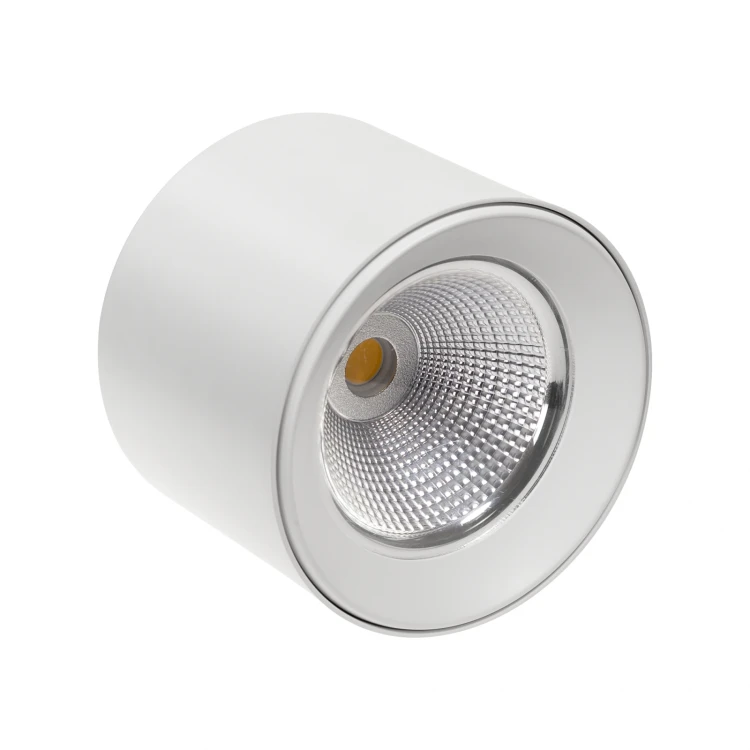 CEL ZOSMA 3 ROUND 830 19W 230V 40st RAL 9007 WOJP06205 SPECTRUM LED