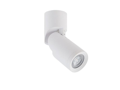 Lampa sufitowa natynkowa Loft MIKE WHITE CG 7660 NOWODVORSKI Lighting 1x GU10 Spot oświetleniowa regulowany reflektorek Industrialna nowoczesna sufitowa metal biała biały Inspiracje Premium