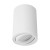 Sufitowa oprawa lampa punktowa BEMOL DWL GU10 WHITE 03537 Struhm Ideus tuba spot natynkowa nowoczesna oświetleniowa biała biały