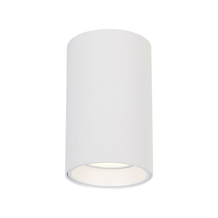 GENESIS SPOT WHITE 1xGU10 10cm ML0382 Milagro