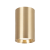 GENESIS SPOT GOLD 1xGU10 10cm ML0383 Milagro