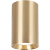 GENESIS SPOT GOLD 1xGU10 10cm ML0383 Milagro
