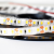 Taśma Led Premium 120/m  6000K IP65 5m ML4756 Milagro