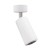 Spot Mica Zoom Biały 1xGU10 ML7372 Milagro