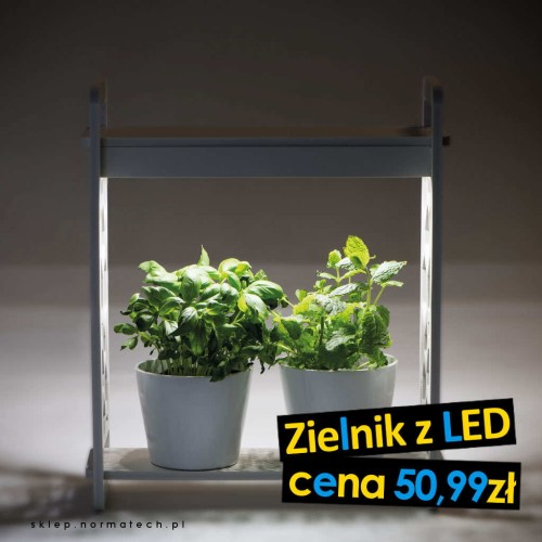 Oprawa dekoracyjna Zielnik domowy MINIGARDEN LED LACE-1 27160 Kanlux