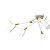 Lampa sufitowa IRIS White/Gold 6x mini GU10 MLP7274 Milagro