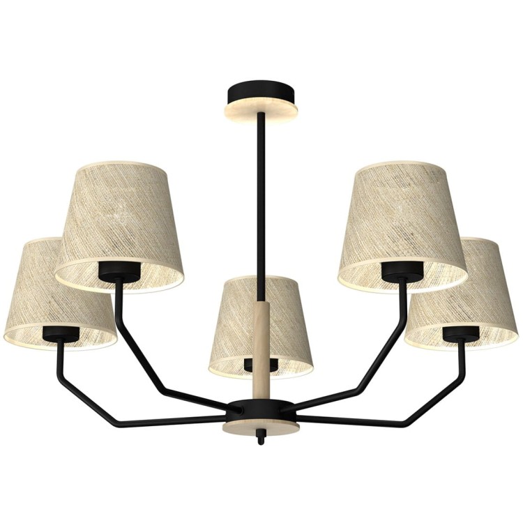 Lampa wisząca ETNA Black 5xE27 MLP7277 Milagro