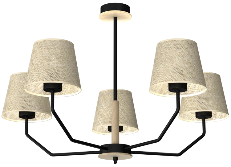Lampa wisząca ETNA Black 5xE27 MLP7277 Milagro
