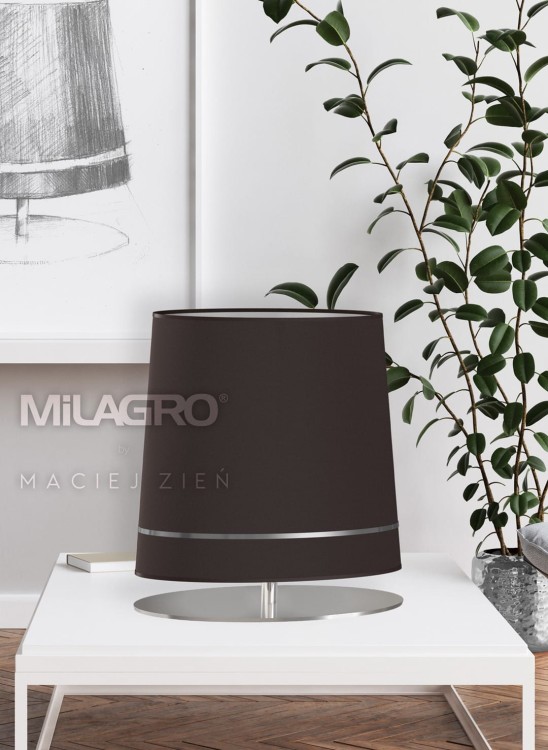 Lampa Stojąca BOOTES 1xE27 MZ5028 Milagro