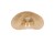 Lampa sufitowa Plafon Loft HAVANA M 11171 NOWODVORSKI Lighting w stylu boho rattanowa Inspiracje Premium