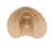 Lampa sufitowa Plafon Loft HAVANA L 11172 NOWODVORSKI Lighting w stylu boho rattanowa Inspiracje Premium