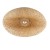 Lampa sufitowa Plafon Loft HAVANA L 11172 NOWODVORSKI Lighting w stylu boho rattanowa Inspiracje Premium