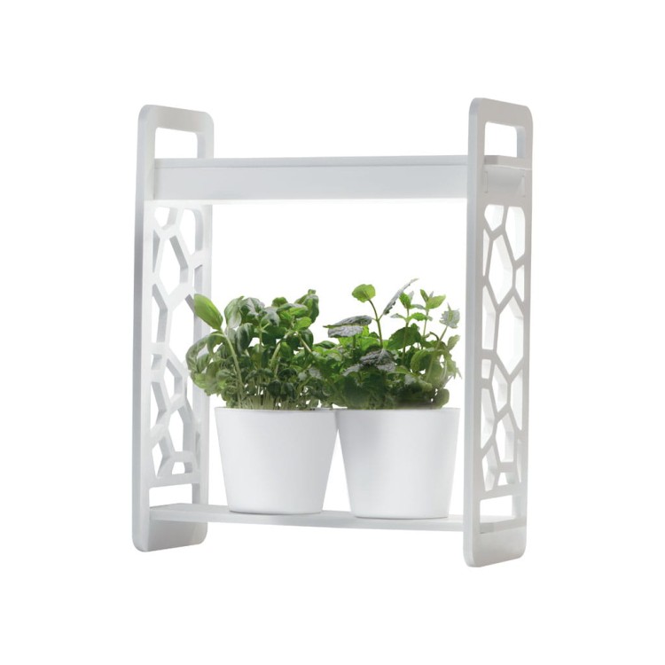 Oprawa dekoracyjna Zielnik domowy MINIGARDEN LED LACE-1 27160 Kanlux