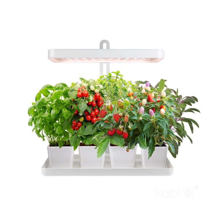 Lampa do roślin LED BLOOM 20W KDSN00000025 Kobi wzrostu uprawy