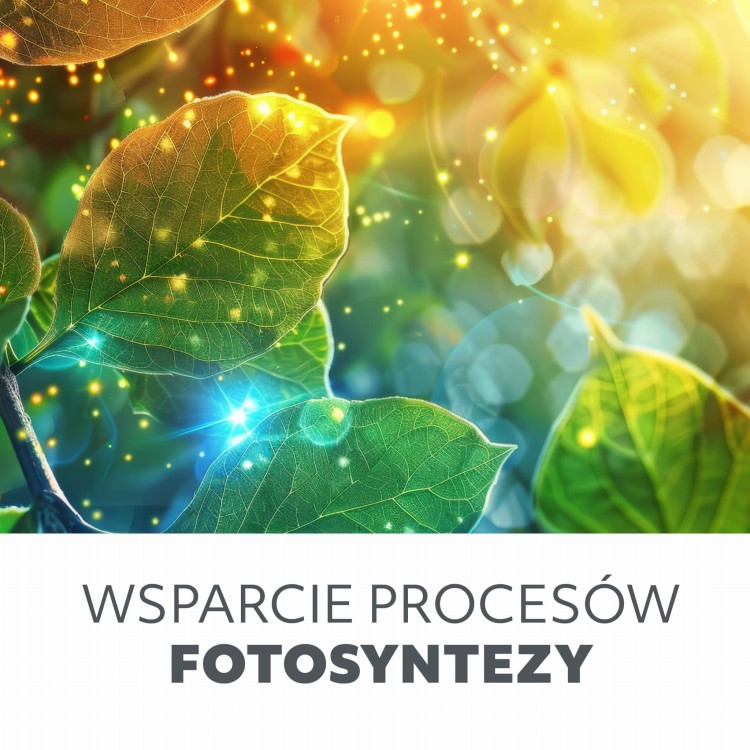 Lampa do roślin LED BLOOM 20W KDSN00000025 Kobi wzrostu uprawy