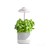 Lampa do roślin LED VERDI 5W KDSN00000026 Kobi wzrostu uprawy