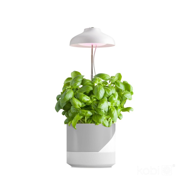 Lampa do roślin LED VERDI 5W KDSN00000026 Kobi wzrostu uprawy