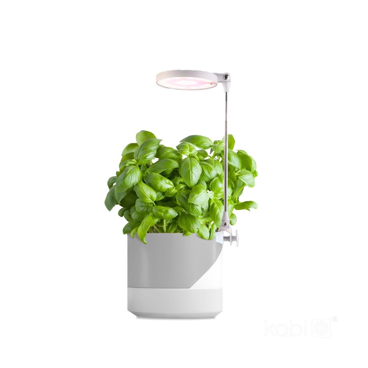 Lampa do roślin LED VERDI 10W KDSN00000027 Kobi wzrostu uprawy