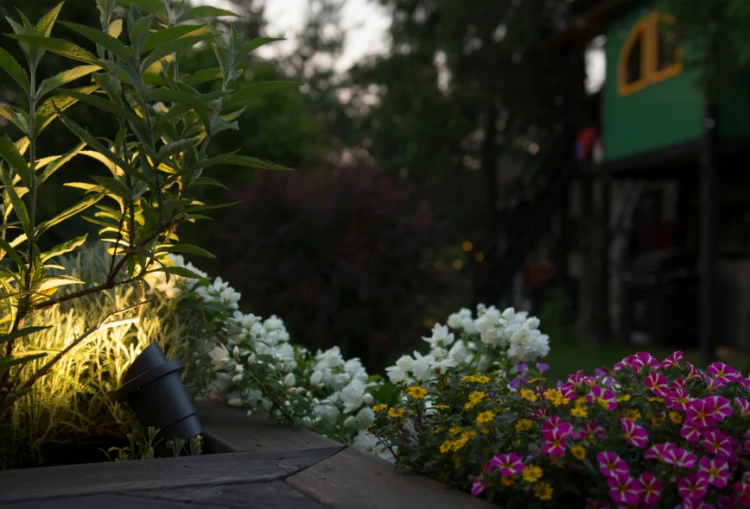 Lampa ogrodowa reflektorek ogrodowy wbijany BUSH 3401 NOWODVORSKI Lighting GU10 Zewnętrzna Nowoczesna oprawa aluminium metalowa do ogrodu oświetlenie zewnętrzne drzewa krzewów gruntowa szara grafitowa Inspiracje Premium