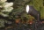Lampa ogrodowa reflektorek ogrodowy wbijany BUSH 3401 NOWODVORSKI Lighting GU10 Zewnętrzna Nowoczesna oprawa aluminium metalowa do ogrodu oświetlenie zewnętrzne drzewa krzewów gruntowa szara grafitowa Inspiracje Premium
