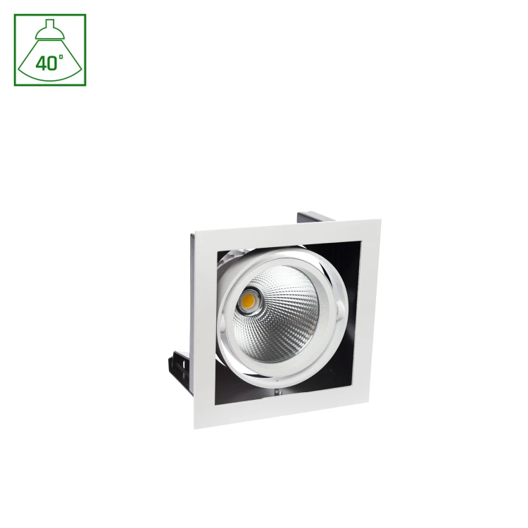 MODERN-DAY 1x1LED COB CITIZEN 40st 230V 27W IP20 WW Downlight + Zasilacz SLI015012WW SPECTRUM LED