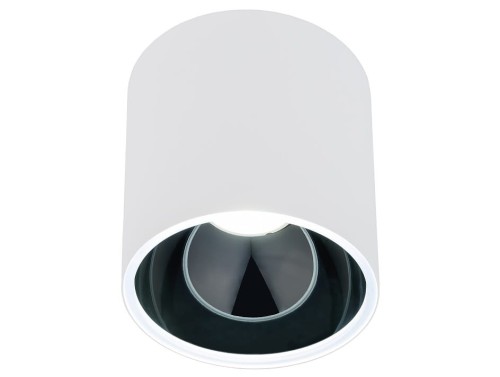 Sufitowa oprawa lampa punktowa HALO WHITE/BLACK 8195 NOWODVORSKI Lighting GU10 tuba spot downlight natynkowa nowoczesna oświetleniowa biało-czarna pojedyncza Inspiracje Premium