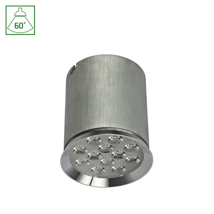 CHLOE 12LED 230V 12W IP20 60st CW Oprawa Sufitowa sufitowe SLI032001CW_60ST SPECTRUM LED spot