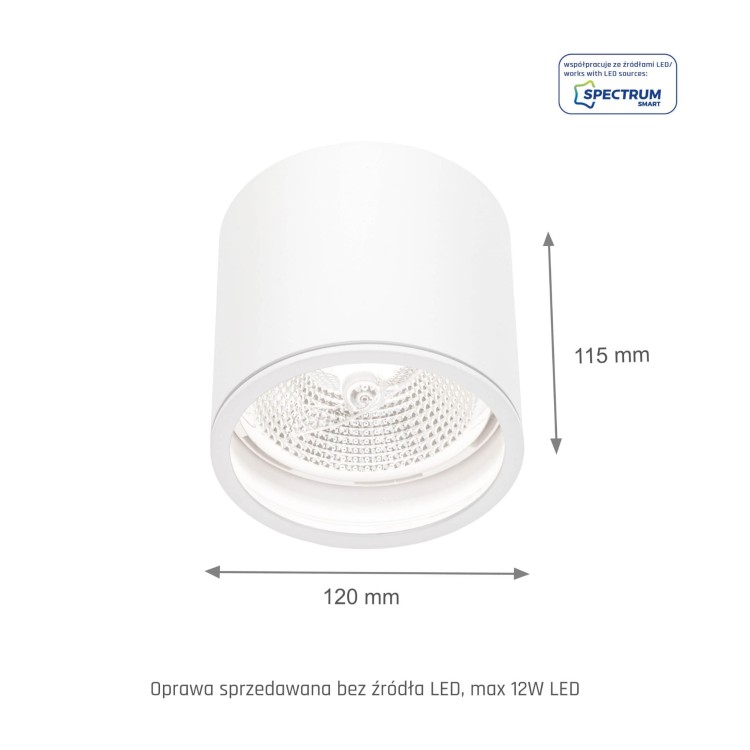 CHLOE AR111 Natynkowa GU10 250V IP65 120x115mm białe Biały okrągłe okrągła nieruchoma SLIP005031 SPECTRUM LED spot
