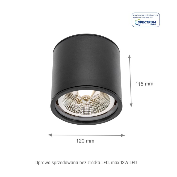 CHLOE AR111 Natynkowa GU10 250V IP65 120x115mm Czarny okrągła nieruchoma SLIP005032 SPECTRUM LED spot
