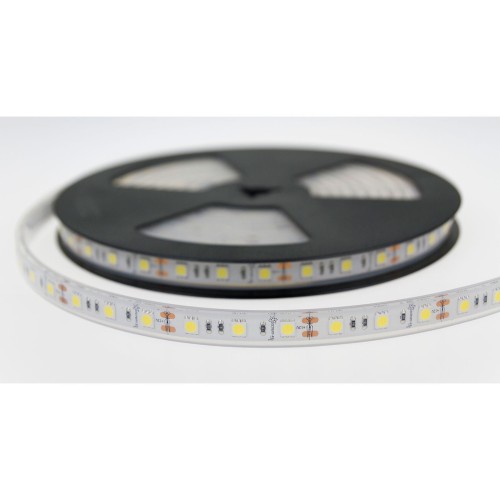 Taśma LED Pasek 48W 5050 60LED CW 5 Lat 1m (rolka 5m) - w silikonie WOJ+12216 SPECTRUM LED