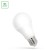 Żarówka LED GLS E-27 E27 230V 13W CW WOJ+13891 SPECTRUM LED