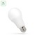 Żarówka LED GLS E-27 E27 230V 11,5W CW WOJ+13909_220ST SPECTRUM LED