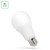 Żarówka LED GLS E-27 E27 230V 11,5W NW WOJ+14347_220ST SPECTRUM LED