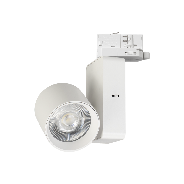 Reflektor Ojo 25W 2700/4000K Biały 3 Obwodowy ML1106 Milagro