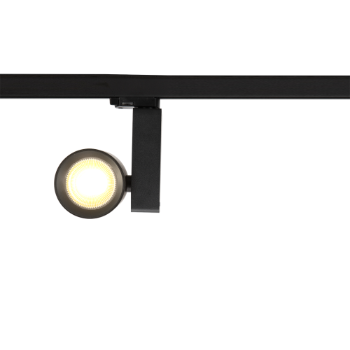 Reflektor Ojo 25W 2700/4000K Czarny 3 Obwodowy ML1107 Milagro