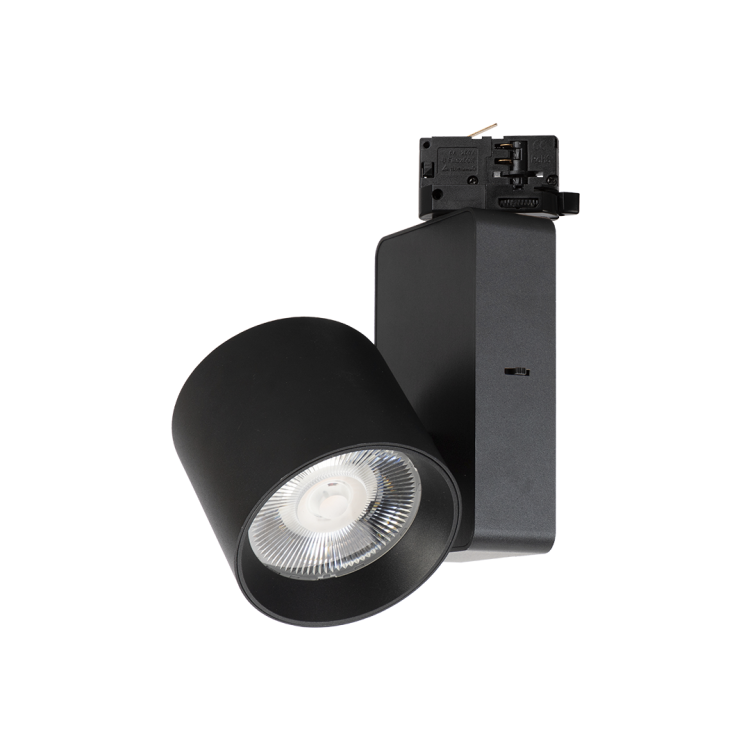 Reflektor Ojo 25W 2700/4000K Czarny 3 Obwodowy ML1107 Milagro