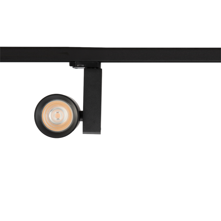 Reflektor Ojo 25W 2700/4000K Czarny 3 Obwodowy ML1107 Milagro