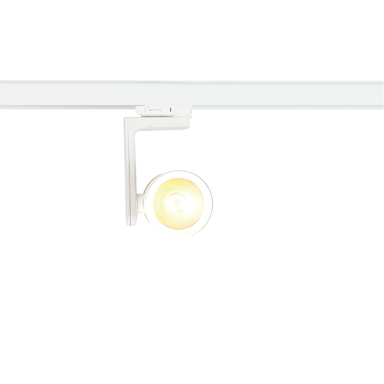 Reflektor Timor 30W 2700/4000K Biały 3 Obwodowy ML1116 Milagro