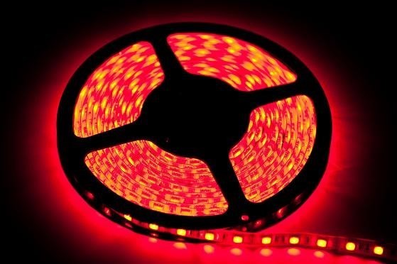 Taśma 60 LED 24W Barwa Czerwony IP20 (5 metrów) EKPL891 Eko-Light