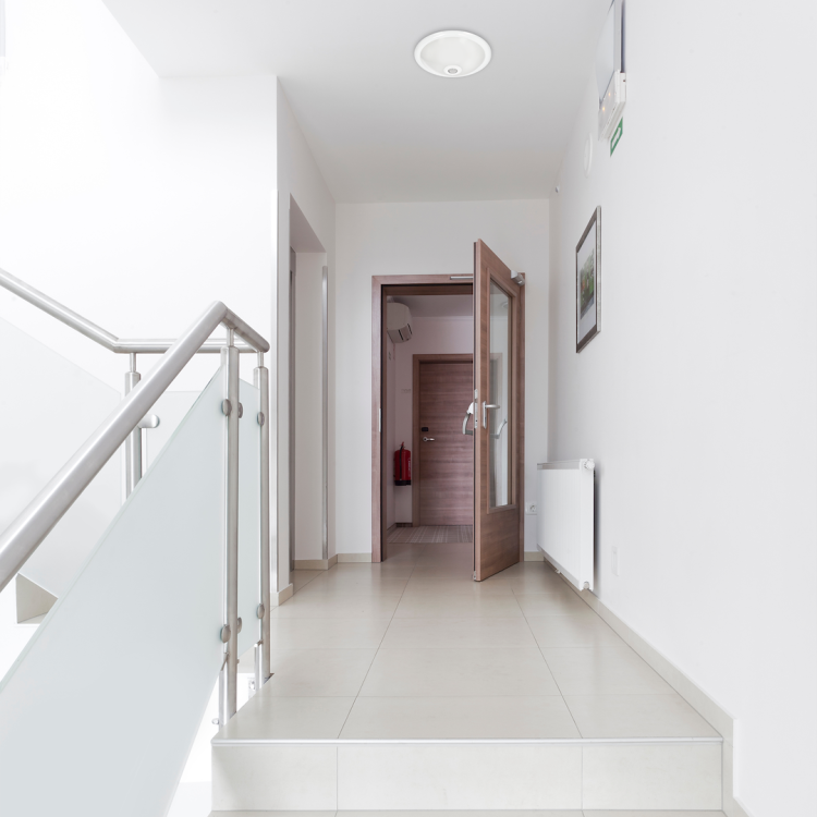 Plafon Mario 2xE27 PIR IK08 EKP9911 Eko-Light