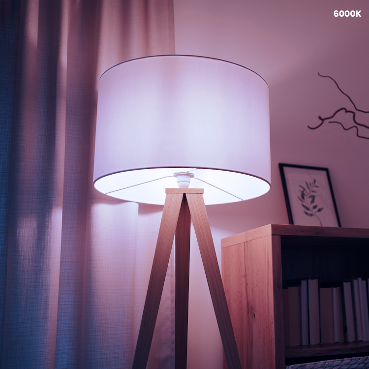 Żarówka LED 15W E27 A60 6000K EKZA0209 Eko-Light