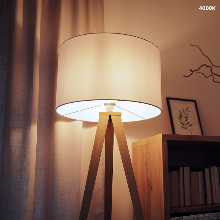 Żarówka LED 5W E14 G45 4000K EKZA0216 Eko-Light
