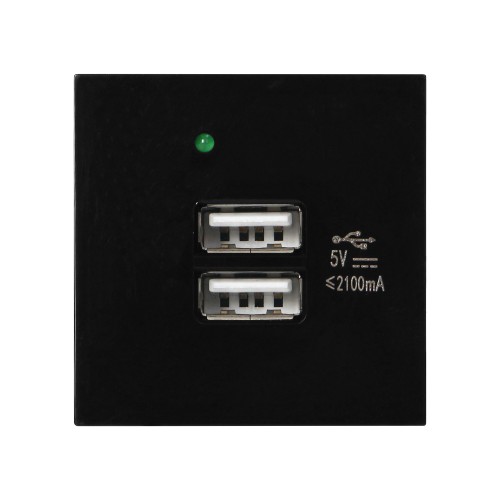 NOEN USB x 2, podwójny port modułowy 45x45mm z ładowarką USB, 2,1A 5V DC, czarny OR-GM-9010/B/USBX2 ORNO