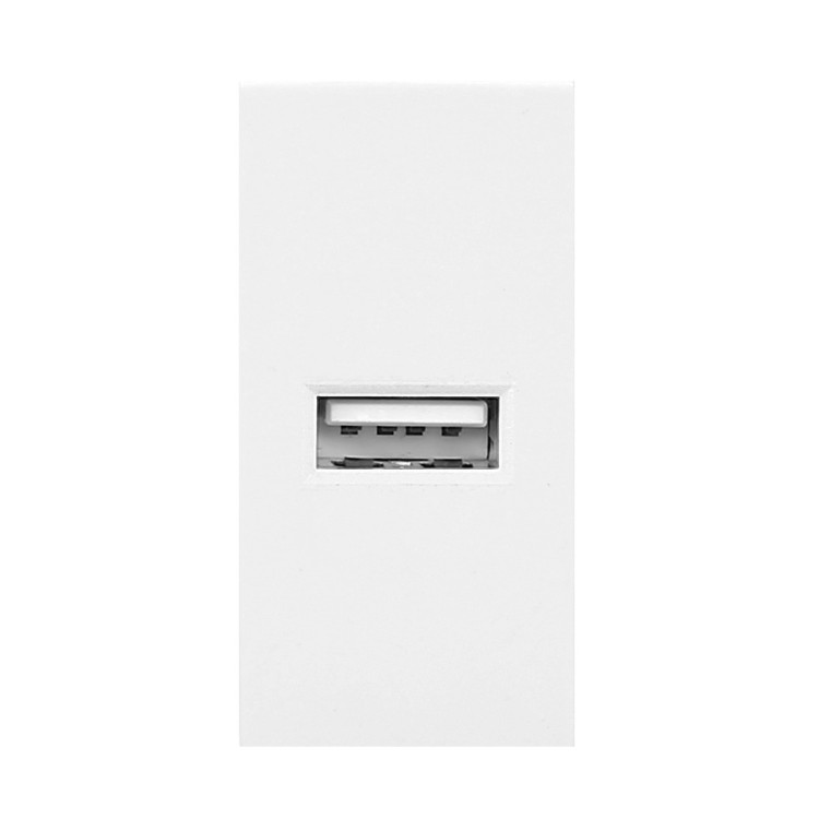 NOEN USB, port modułowy 22,5x45mm z ładowarką USB, 2,1A 5V DC, biały OR-GM-9010/W/USB ORNO