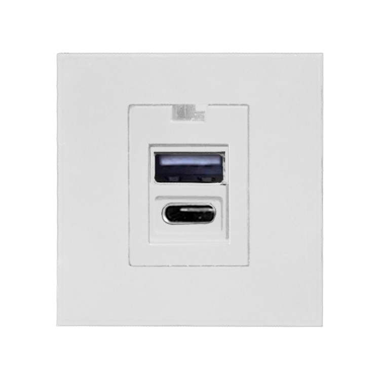 NOEN USB x2 - typ A+C, podwójny port modułowy 45x45mm z ładowarką USB, 2,1A 5VDC, biały OR-GM-9010/W/USBAC ORNO