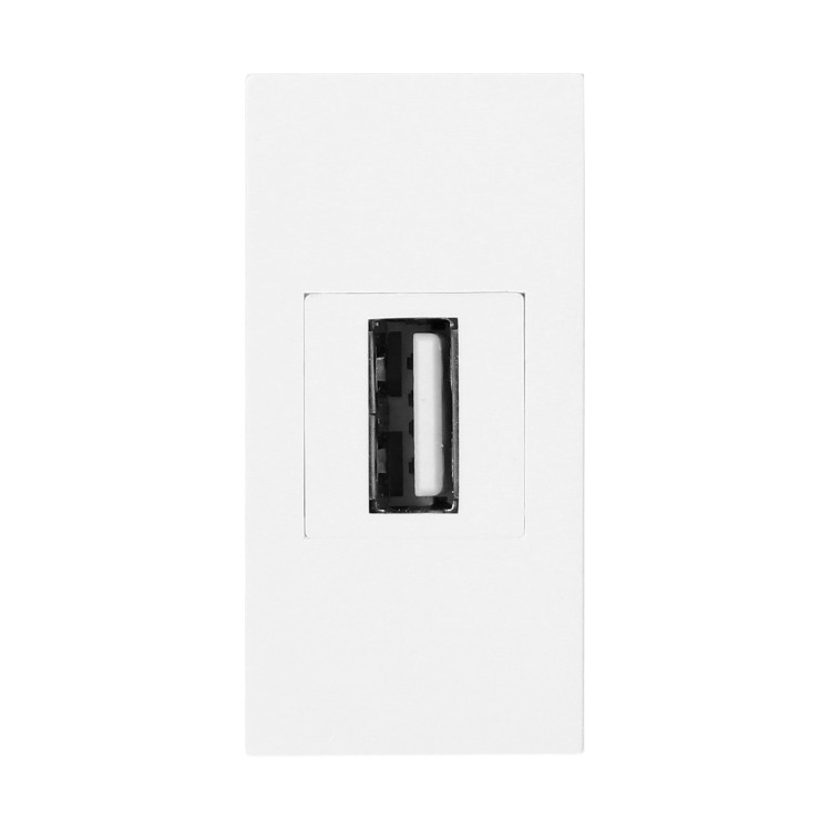 NOEN USB data, gniazdo modułowe 22,5x45mm USB data 2.0, przelotka, białe OR-GM-9010/W/USBDAT1 ORNO