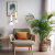 Lampa wisząca LUCCO amber 13W ML1418 Milagro