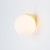 ALOE 10525 Nowodvorski Lighting Lampa ścienna kinkiet Inspiracje Premium