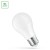 LED GLS E-27 24V AC/DC 8.5W NW WOJ+14658 SPECTRUM LED