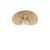 Lampa sufitowa Plafon Loft HAVANA S 11170 NOWODVORSKI Lighting w stylu boho rattanowa Inspiracje Premium - Outlet